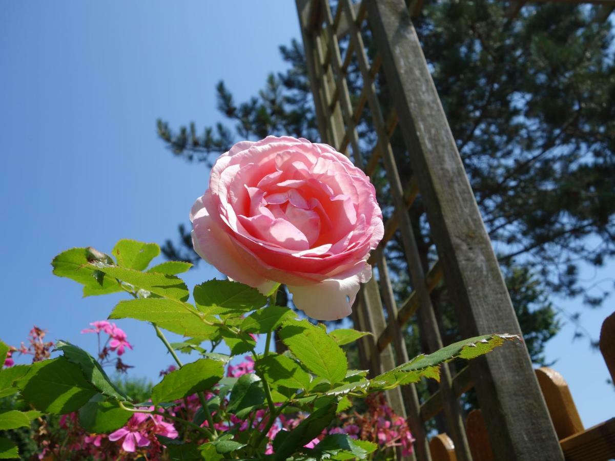 Maison De La Ferme Holiday home *